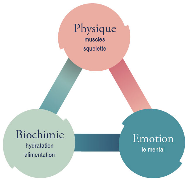 Triangle de la santé : physique, biochimie, émotion.