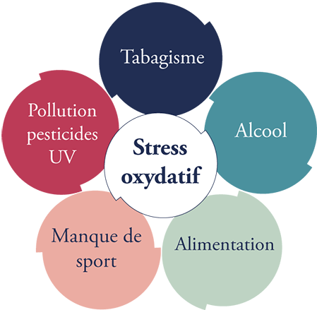 Comprendre le stress oxydatif et le danger de radicaux libres.
