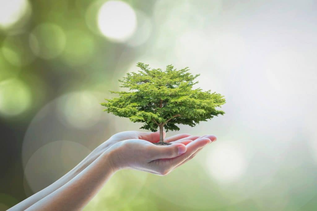 Naturopathe Béziers